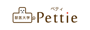 Pettie 獣医大学